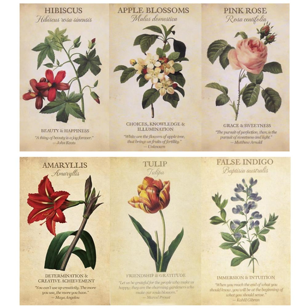 Botanical Inspiration Oracle c - Board Game Inspiration recension och pris