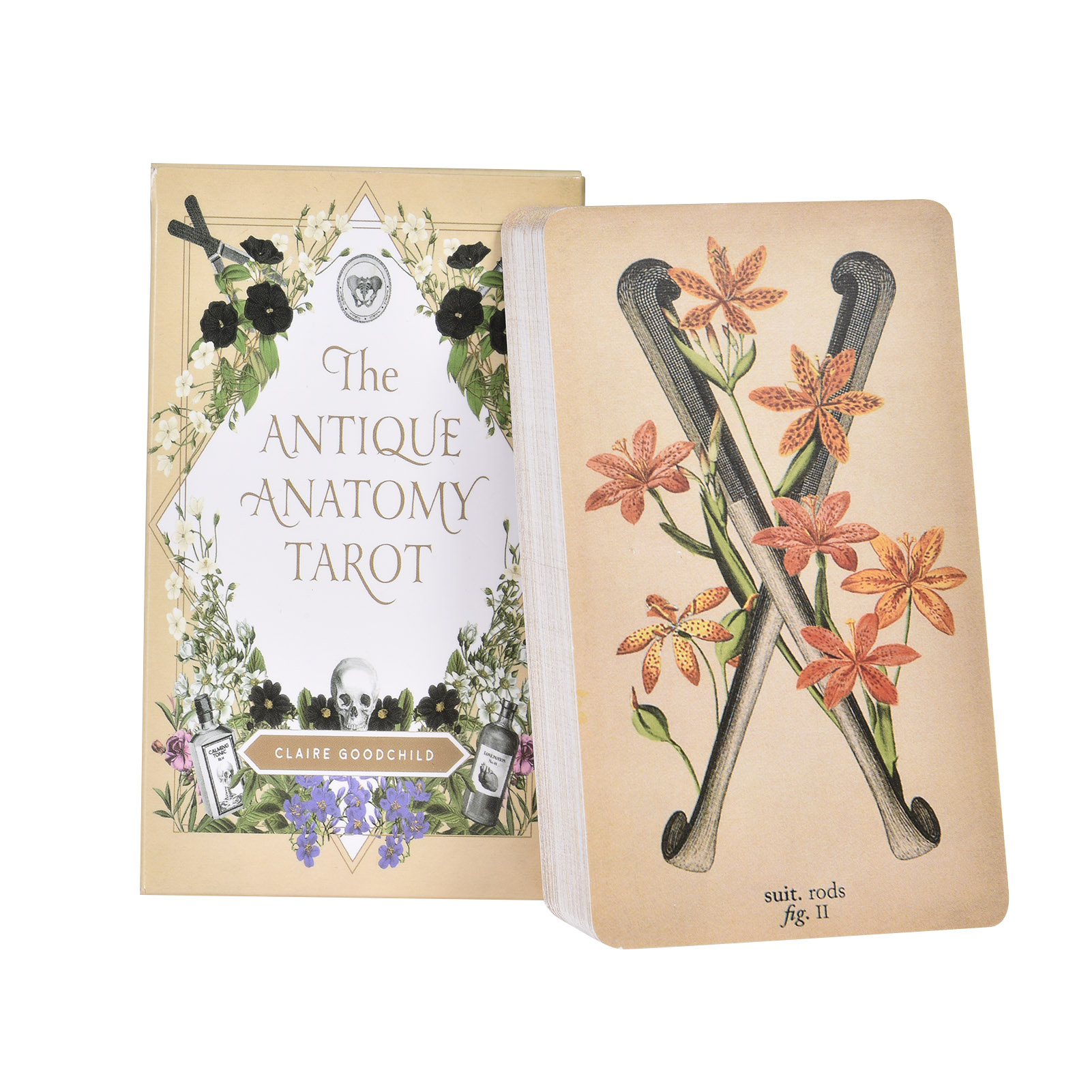 The Antique Anatomy Tarot Card - Board Game Pdf recension och pris