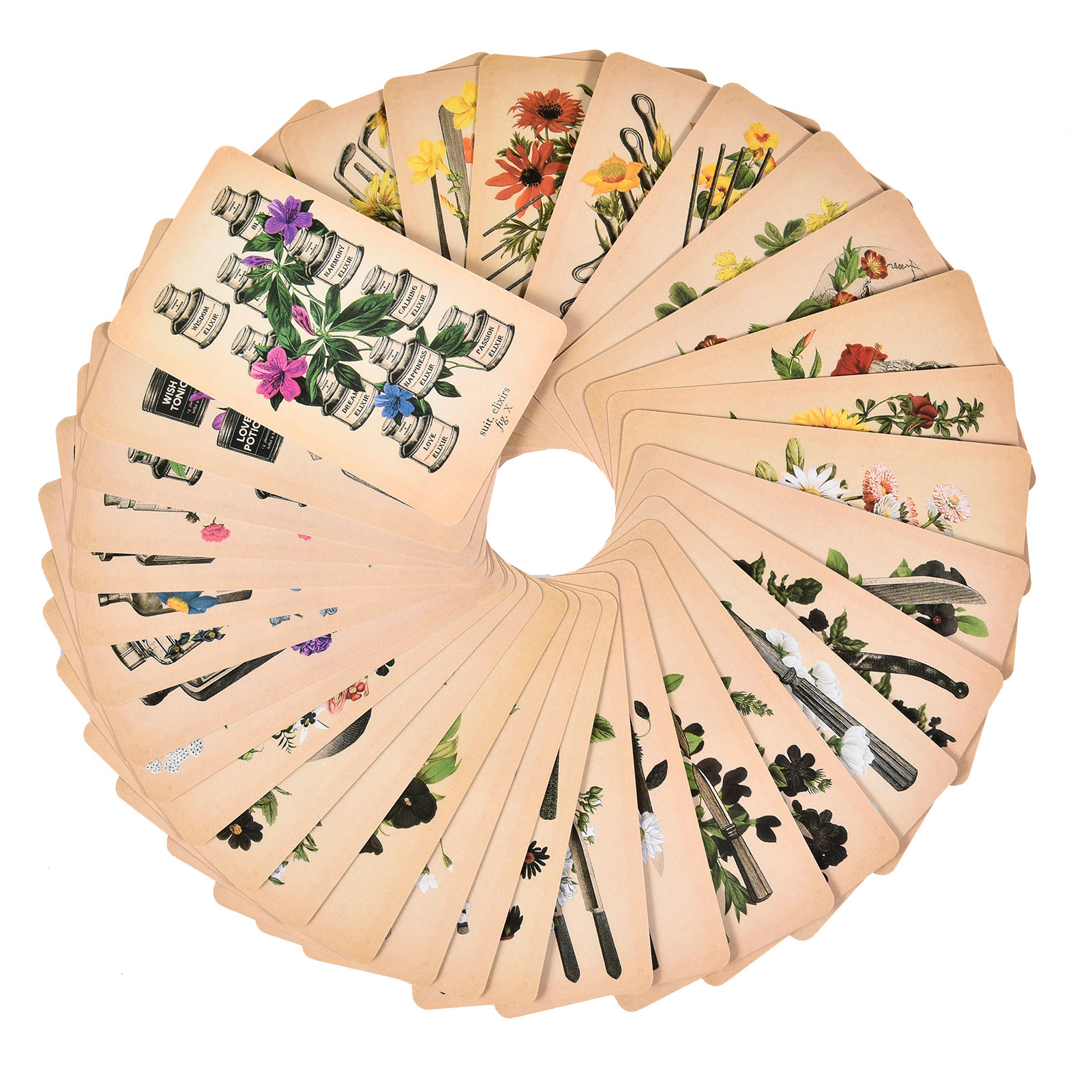 The Antique Anatomy Tarot Card - Board Game Pdf recension och pris